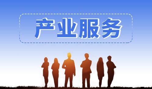 斯百德信息技術(shù)咨詢服務(wù) 專業(yè)智庫(kù)支持與產(chǎn)業(yè)項(xiàng)目對(duì)接